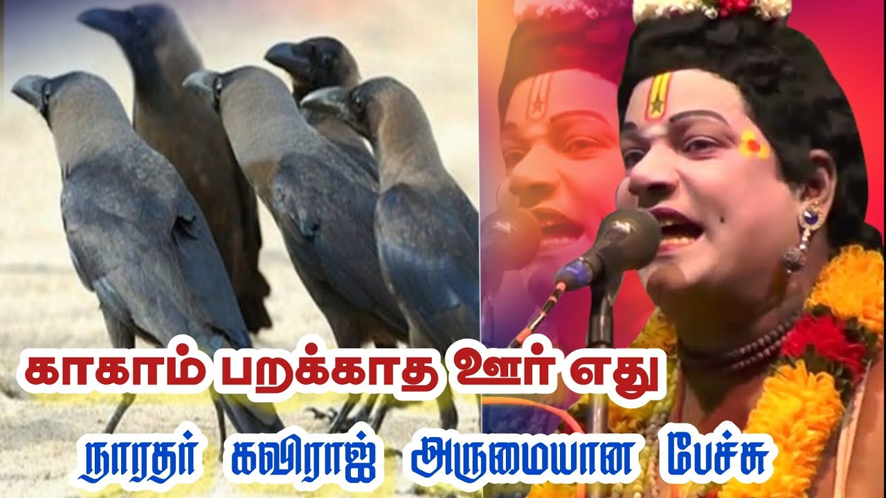 காக்கா பறக்காத ஊர் எது /அருமையான நாரதர் கவிராஜ்
