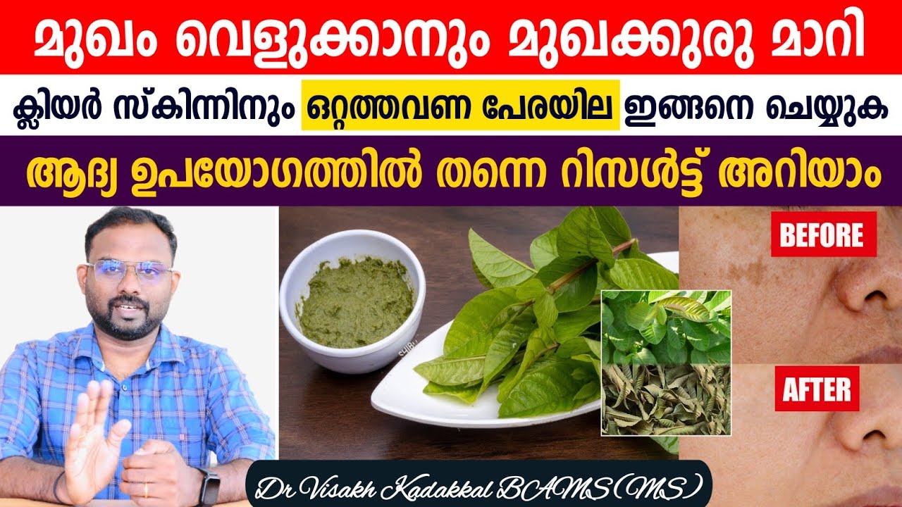 പേരയില 🌿 കൊണ്ട് മുഖം വെളുക്കാനും മുഖക്കുരു മാറ്റി സ്കിൻ ക്ലിയറാക്കാം;ആദ്യ ഉപയോഗത്തിൽ തന്നെ റിസൾട്ട്💯
