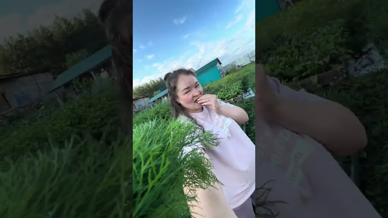 26 июля 2024 г.