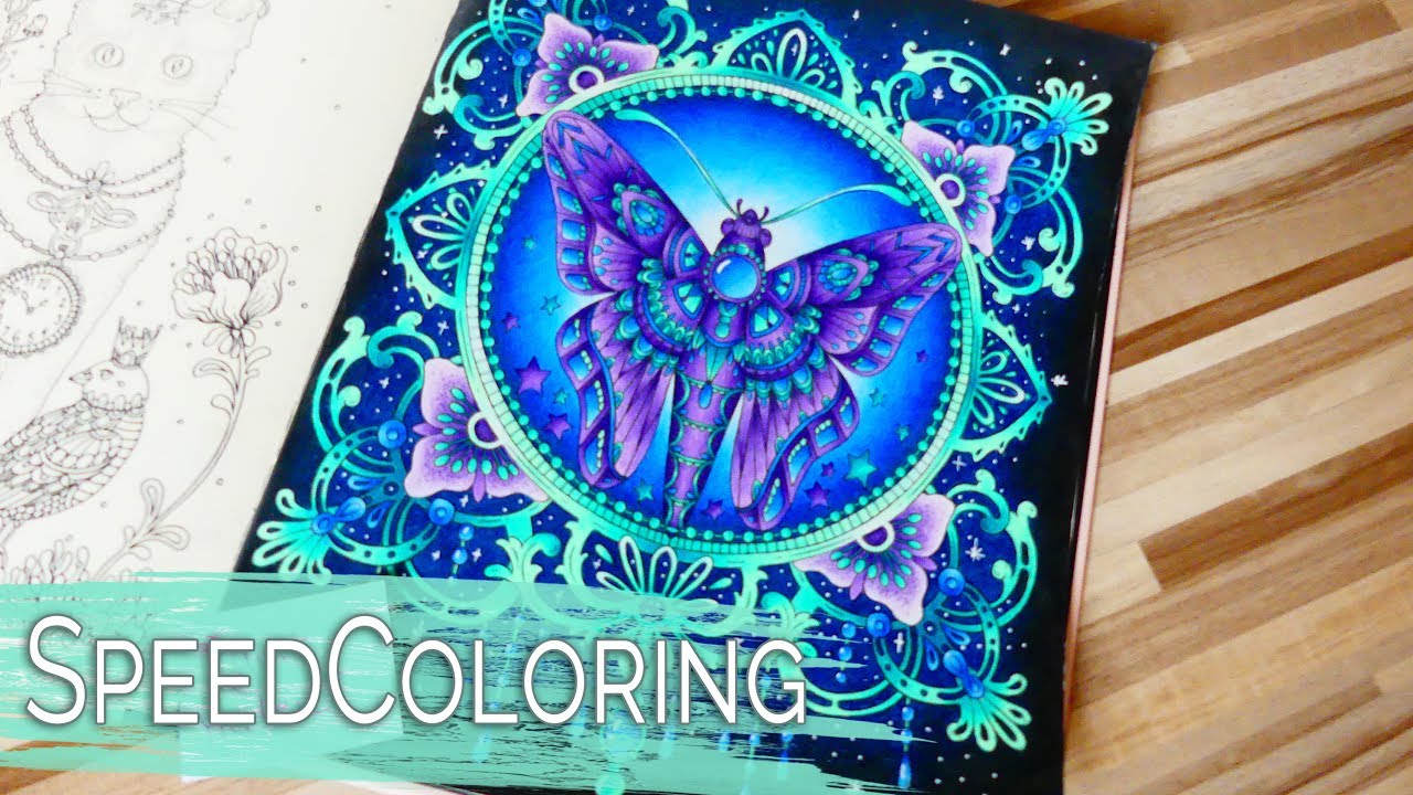 Coloring the Butterfly in SUMMER NIGHTS by HANNA KARLZON