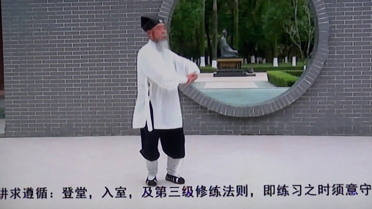 龙门太极三世七  西秦道人 李法均道长完整演练
