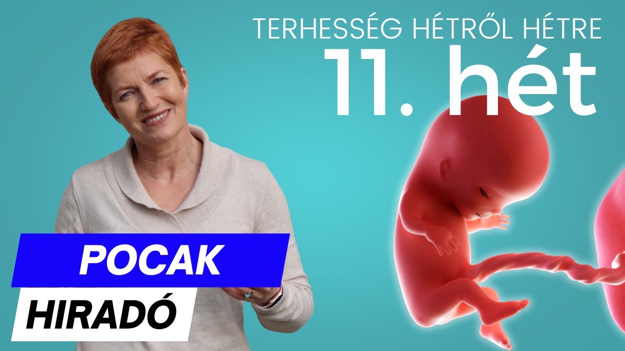 Terhesség 11. hete ∣ Terhesség hétről hétre
