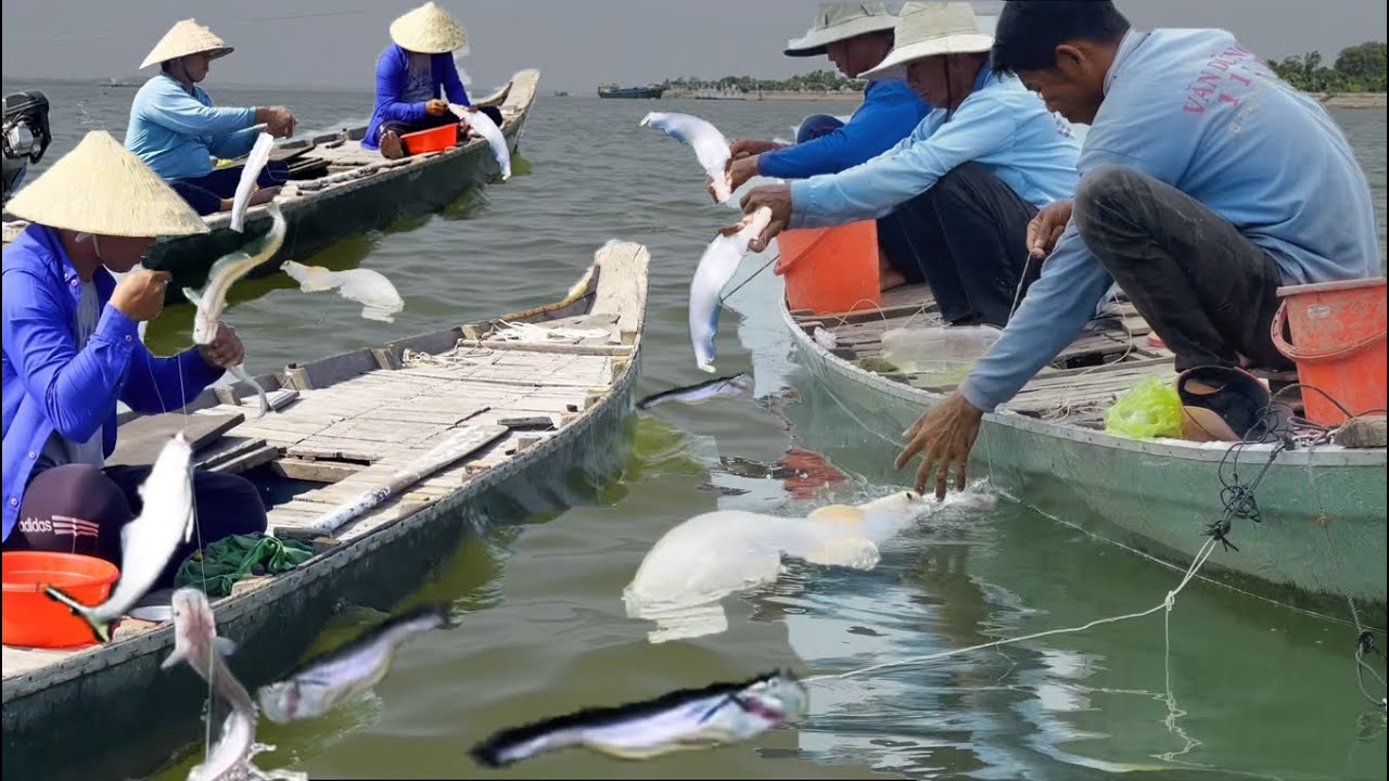 Những ngày câu cá vô mánh nhất năm 2024 của ngư dân cá kết - Sông Nước Cửu Long - Nguyễn Hùng