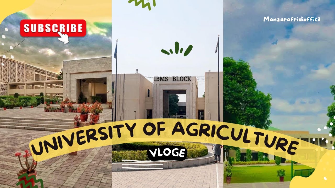 The university of agriculture Peshawar        ||My university vloge ||Full Information vlog￼
