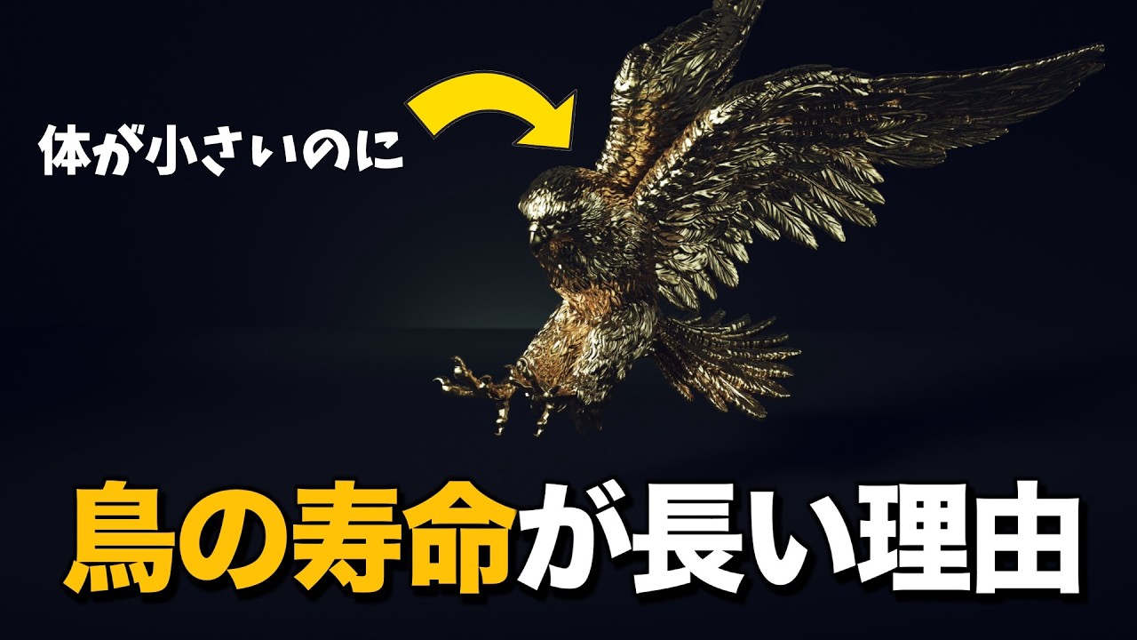 なぜ鳥の身体能力は高いのか？🦅（鳥と恐竜の身体能力）