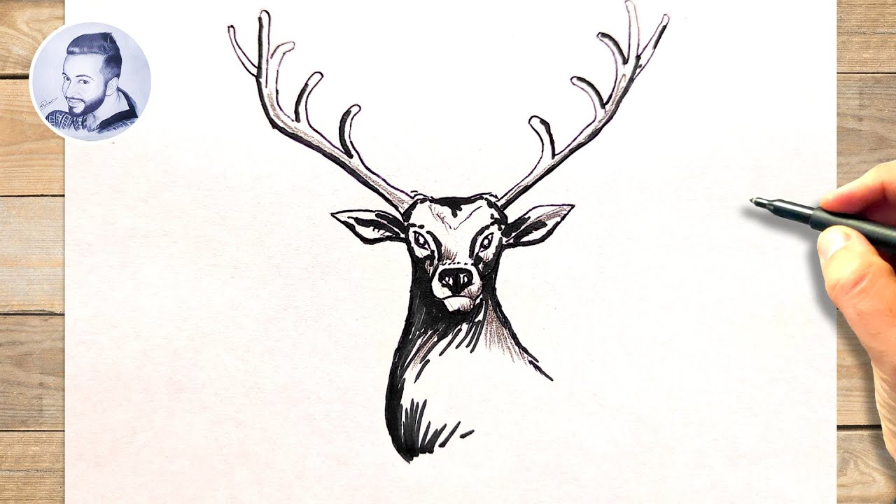 Comment dessiner une tete de cerf a dessiner facile