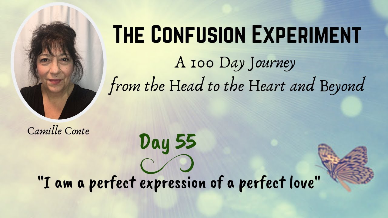 Day 55: The Confusion Experiment - 