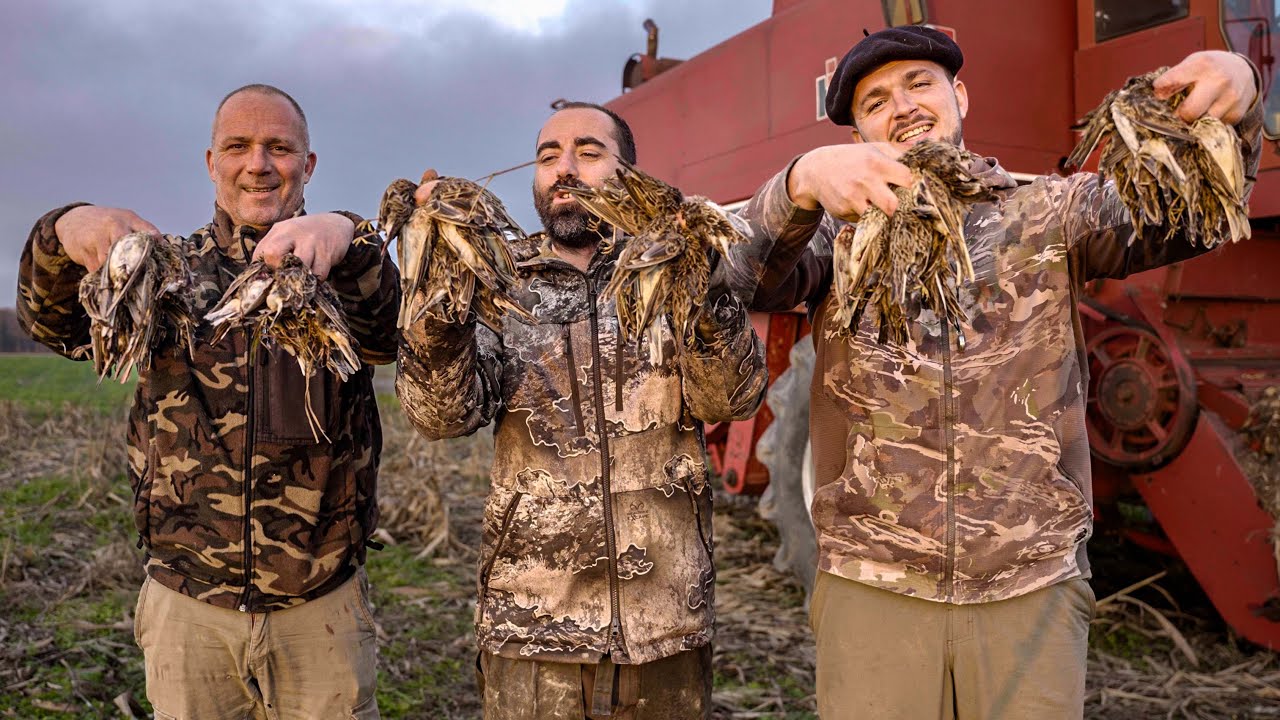 Chasse à l’alouette au fusil dans les Landes | Immersion au cœur de la Gascogne