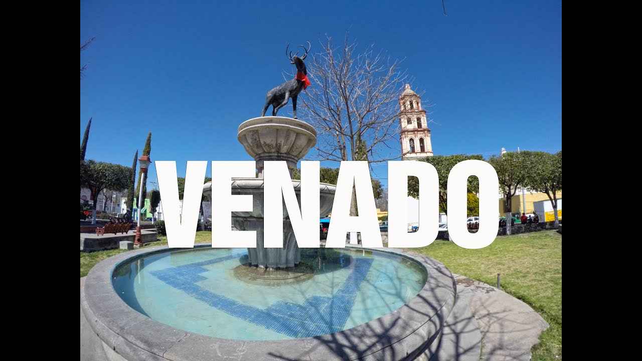 Venado | Descubre San Luis Potosí