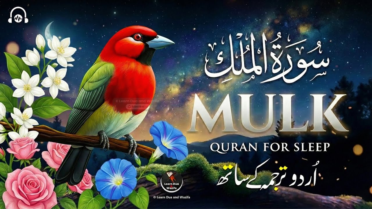 Surah Al-Mulk سورة الملك | Deep Sleep Quran Recitation for Peace, Rest and Healing #quranforsleep