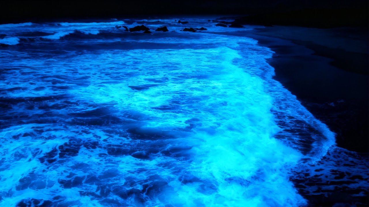 Let These Ocean Waves Melt Stress Away 🌊😴