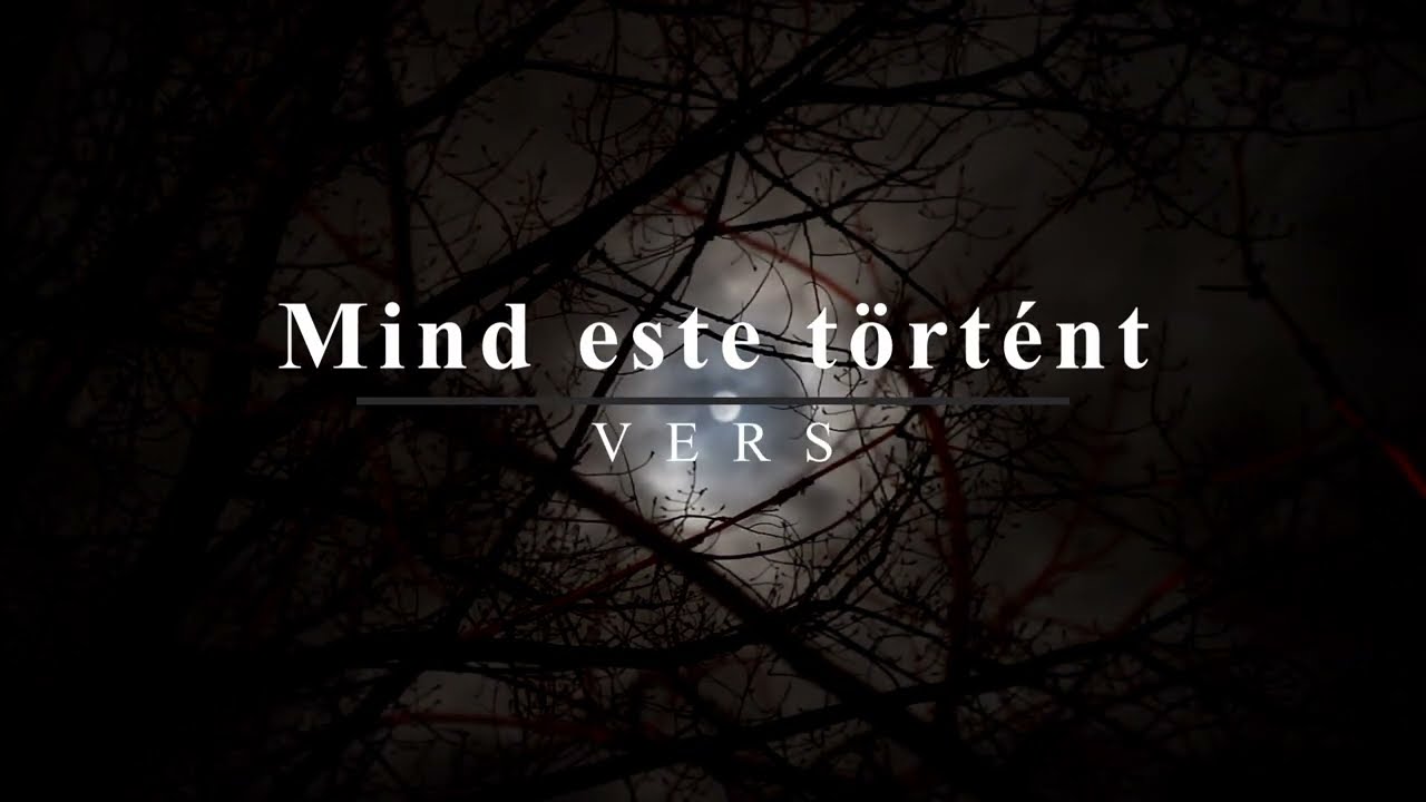N&eacute;vtelen Kocka -  Mind este t&ouml;rt&eacute;nt (vers) / It Happened Every Night&hellip; (poem)