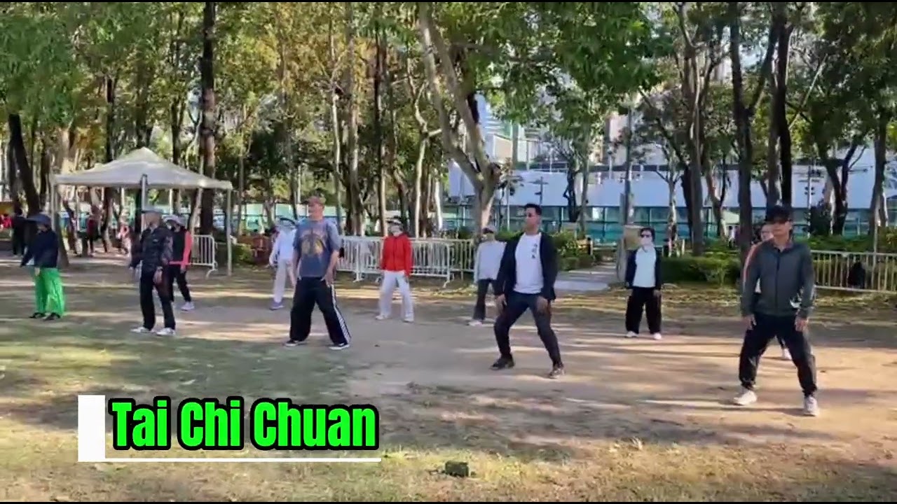 Tai Chi Chuan | Qigong | Min Loi Chan | Cotton Needle | Pak Hok Pai 