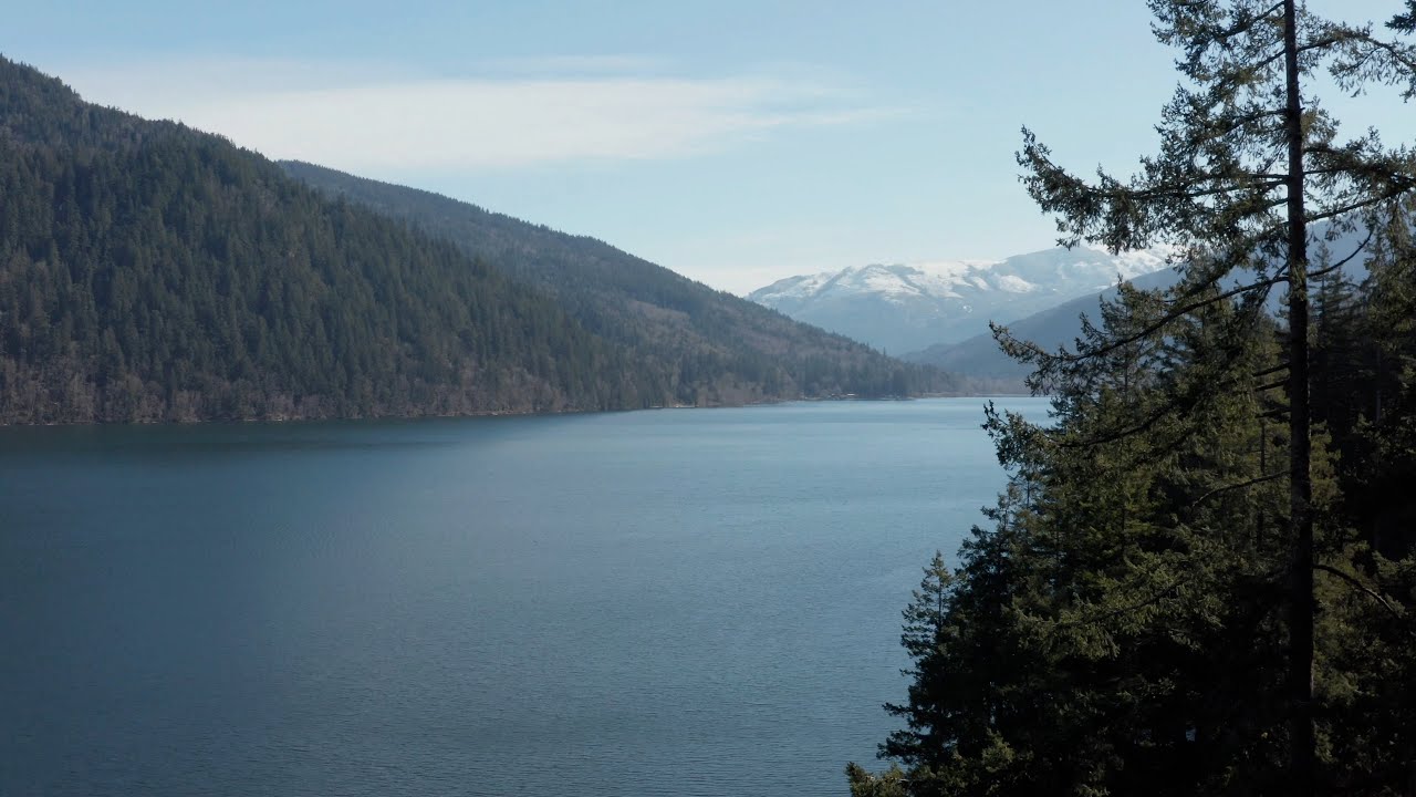 Lake Whatcom Homeowner Incentive Program (HIP) Overview