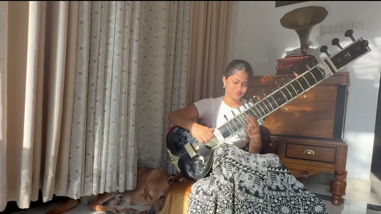 Kopi Kade | කෝපි කඩේ | Theme song | Sitar cover | Hithmi Pankaja