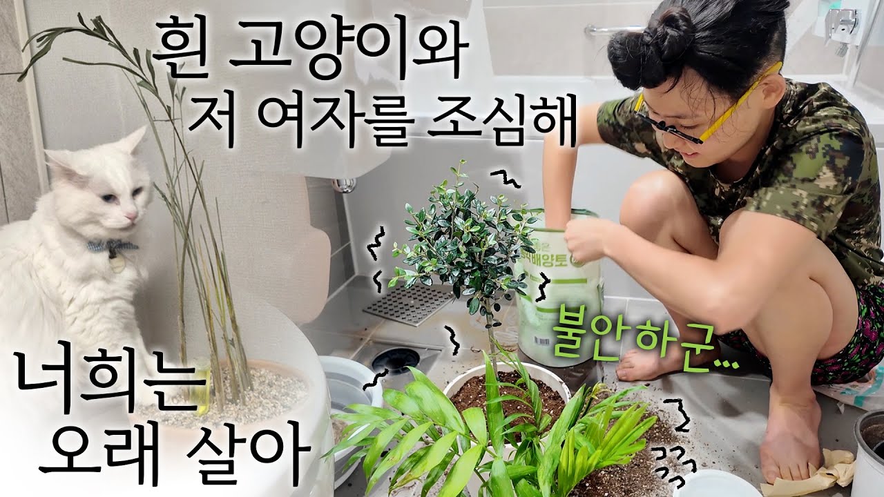 새식구를 데려왔습니다. 이번에는 잘 키울 수 있겠죠..?