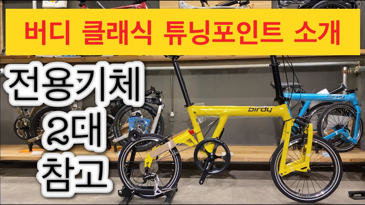 버디 자전거 미니벨로 튜닝 가이드