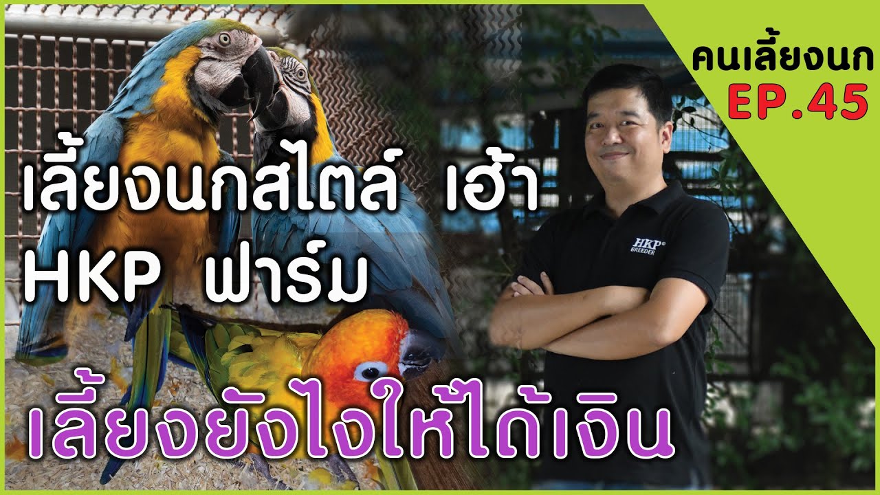 คนเลี้ยงนก EP 45 เลี้ยงสไตล์ เฮ้า HKP ฟาร์ม  เลี้ยงยังไงให้ได้เงินแสน..