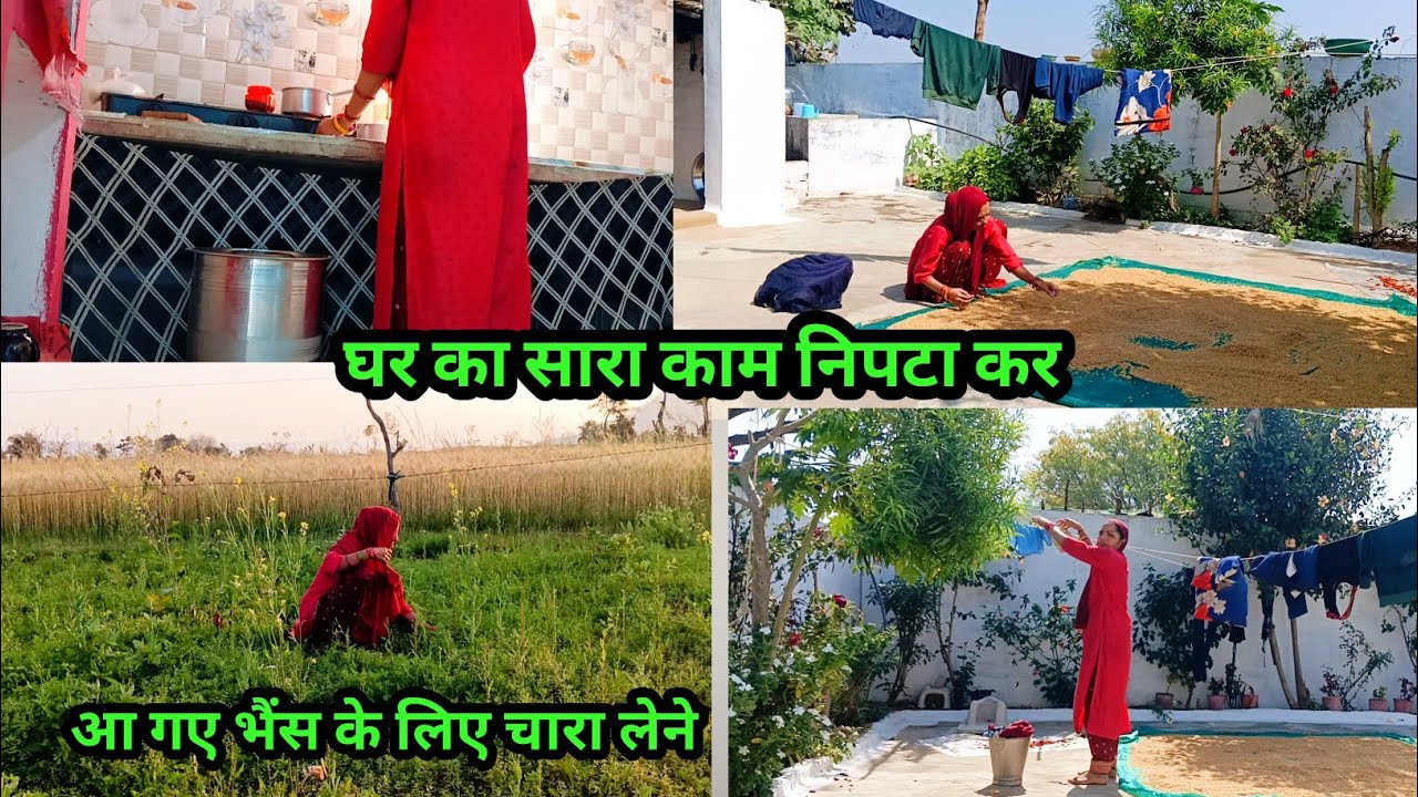 🏕️घर का सारा काम निपटाकर 💁 आ गए भैंस के लिए चारा लेने#reenabundelivlog #vlog #villagevlog 
