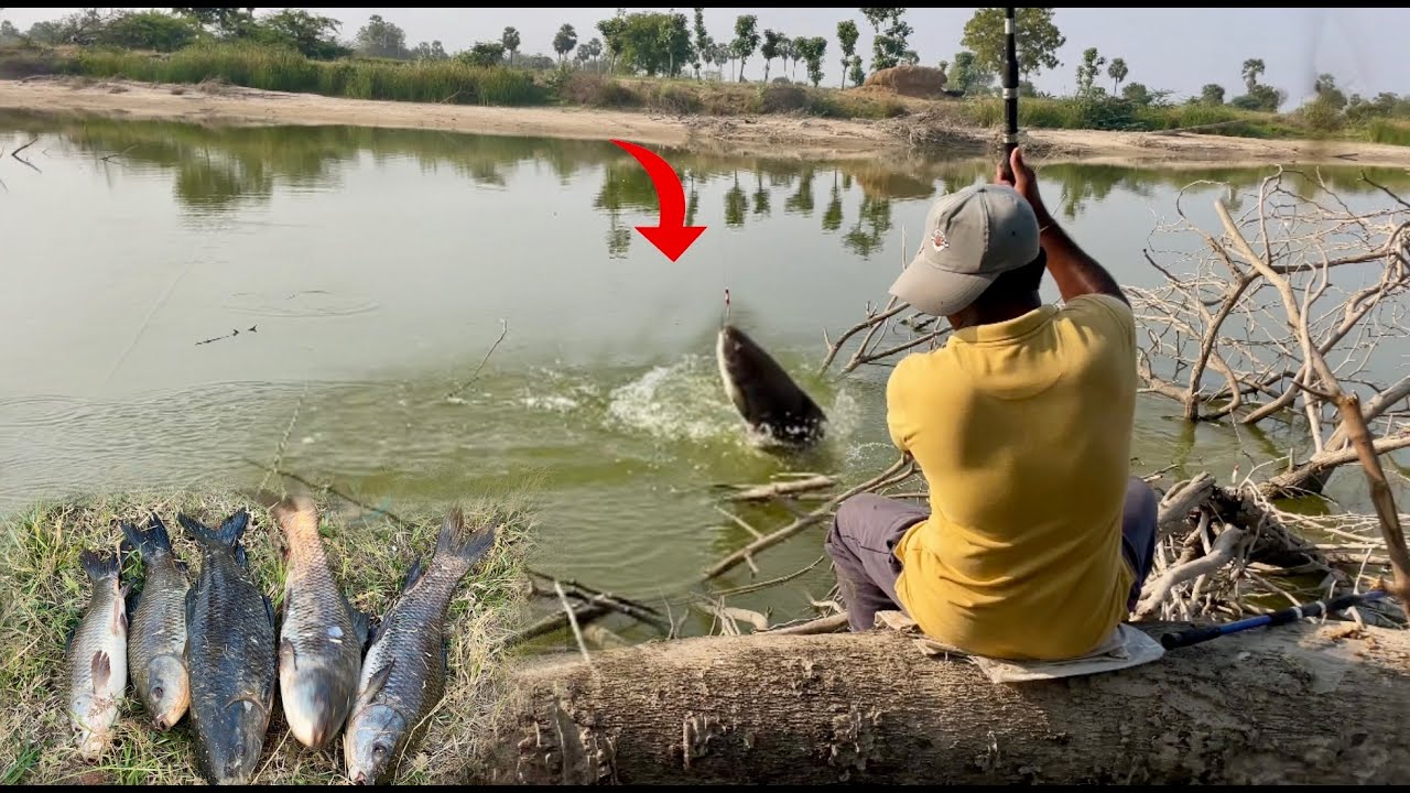 unbelievable big rohu fishing telugu పేలాలు ఎగినట్టే ఎగినయ్ పోర్క పోర్క పట్టినం మామ bros