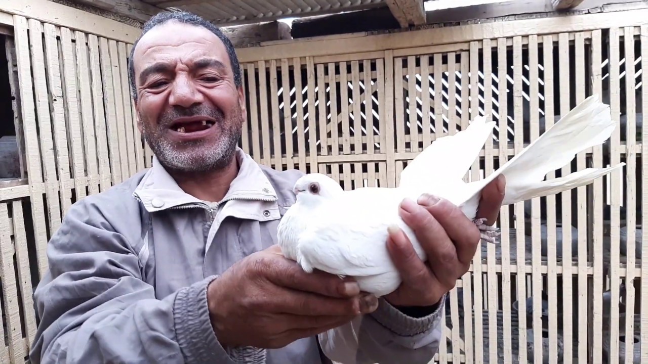 بعــــد ما إتســــرقت