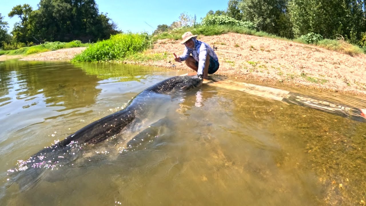 Carnassiers GIGANTESQUE au Leurre. 4 jours de PÊCHE et BIVOUAC en eaux cristalline