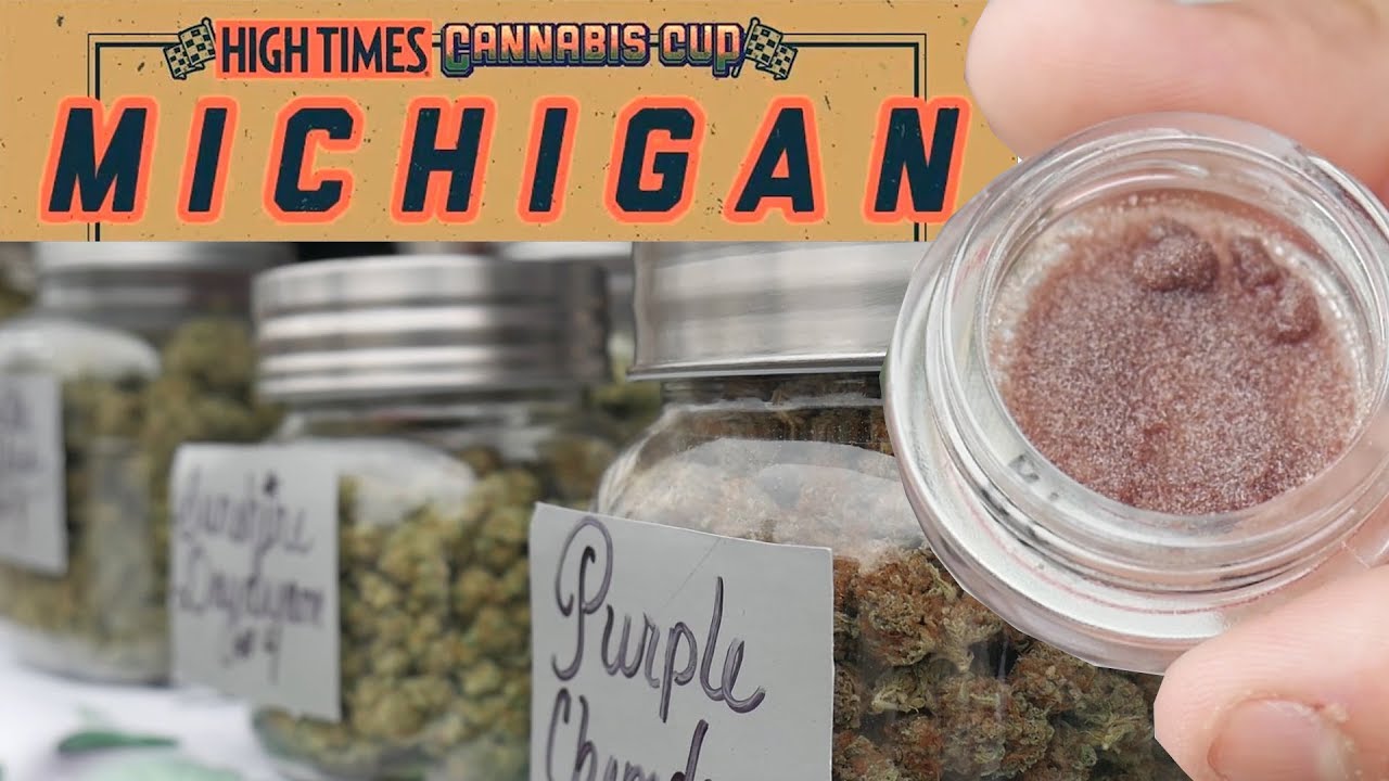 High Times Cannabis Cup 2018, Clio - MICHIGAN con Delicious Seeds. Marihuana Now 51