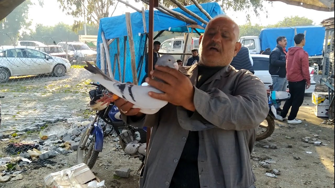 ADANA KUŞ PAZARI ANTEP ŞAMİLERİ/2500 tl