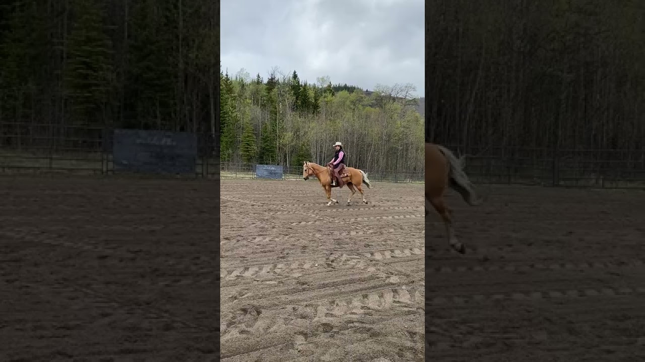 #14 Western Horsemanship Adult: Teresa Demytruk & Sparks My Obsession