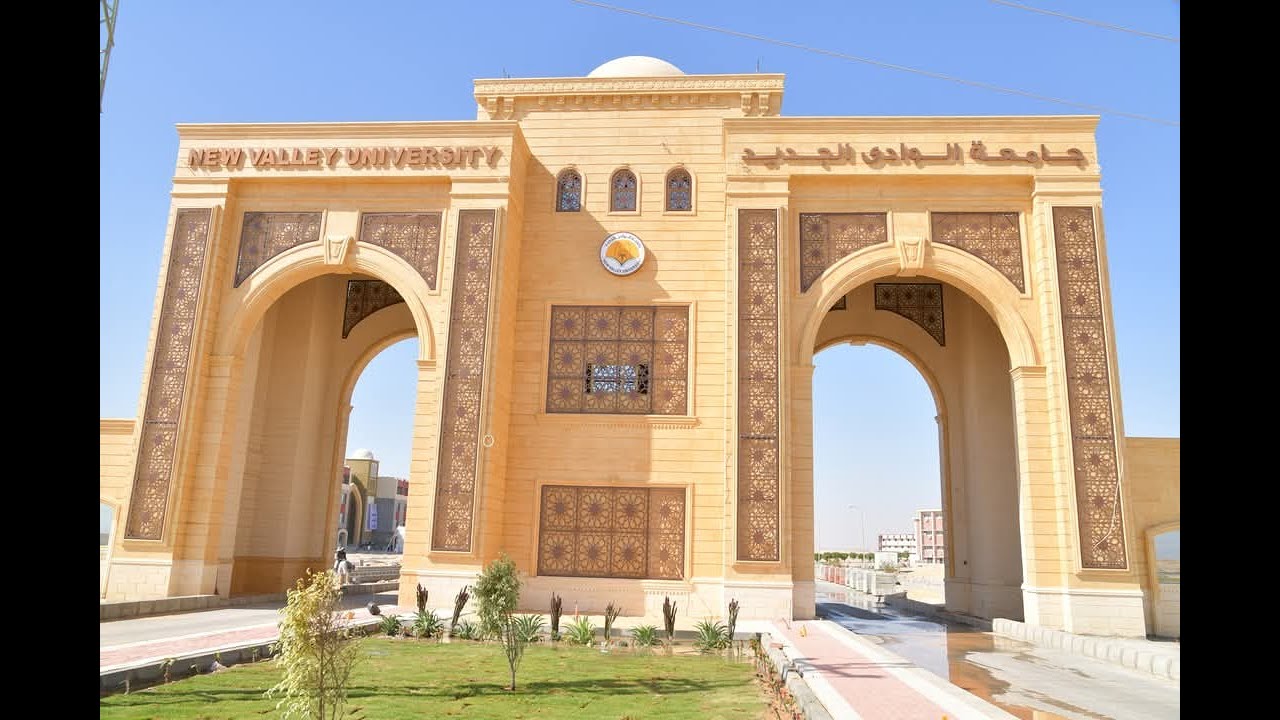 حصاد الأنشطة الطلابية بجامعة الوادي الجديد للعام الجامعي 2024 - 2025