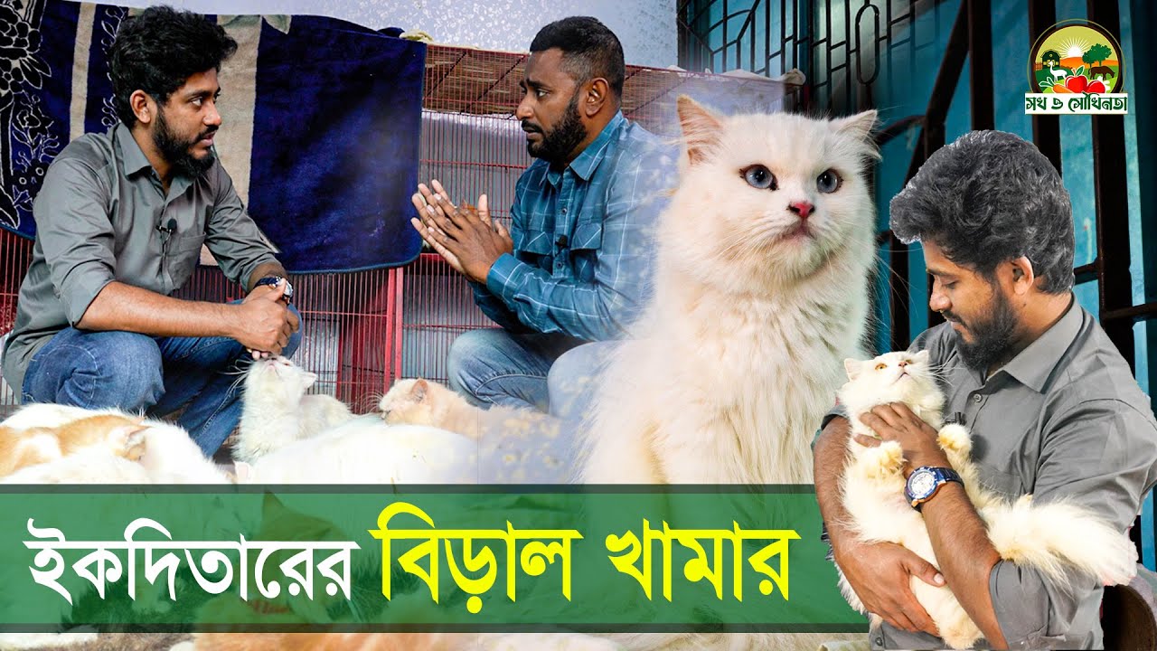 ইকতিদারের বিড়াল খামার | Cat Firm | Chittagong Live