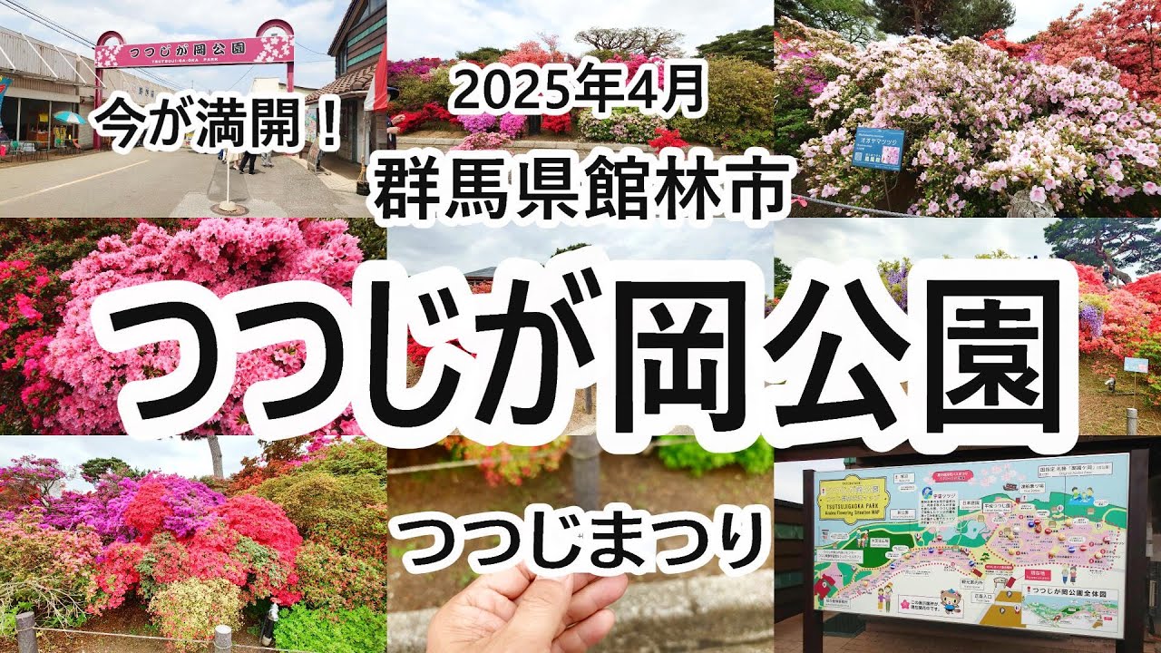群馬県館林市 つつじが岡公園 つつじまつり 【群馬県館林市】2025年4月 4K動画　音声有り
