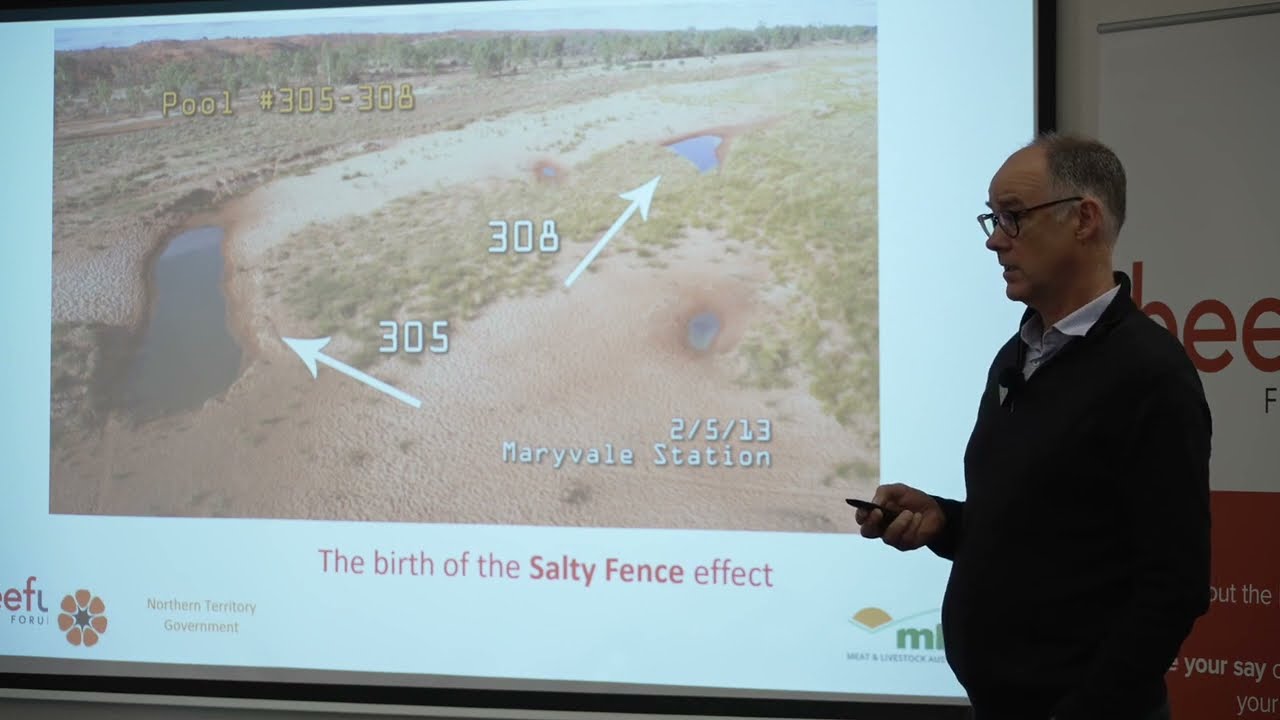 Salty waterholes, cattle and native fish – Case study from the Finke River