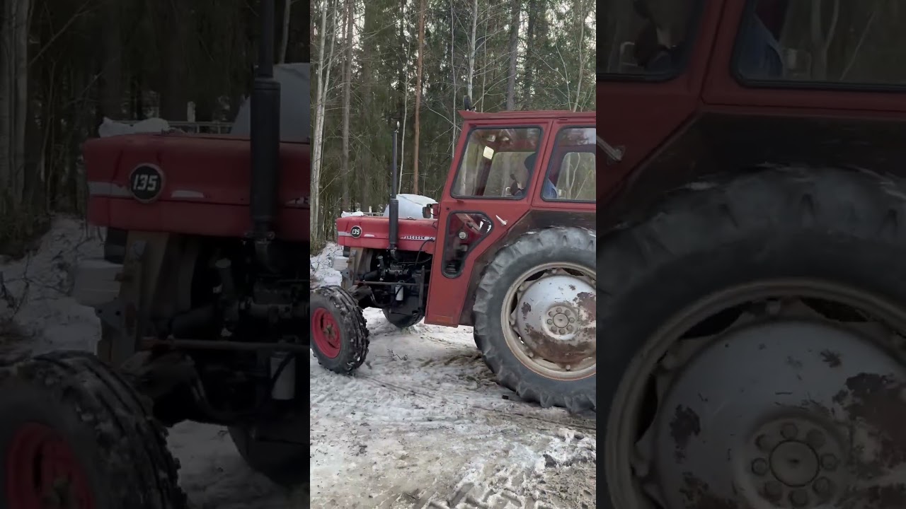 &Auml;r den inte vacker? 😍 #MF135 #farming #tractor #g&aring;rdsliv #traktor