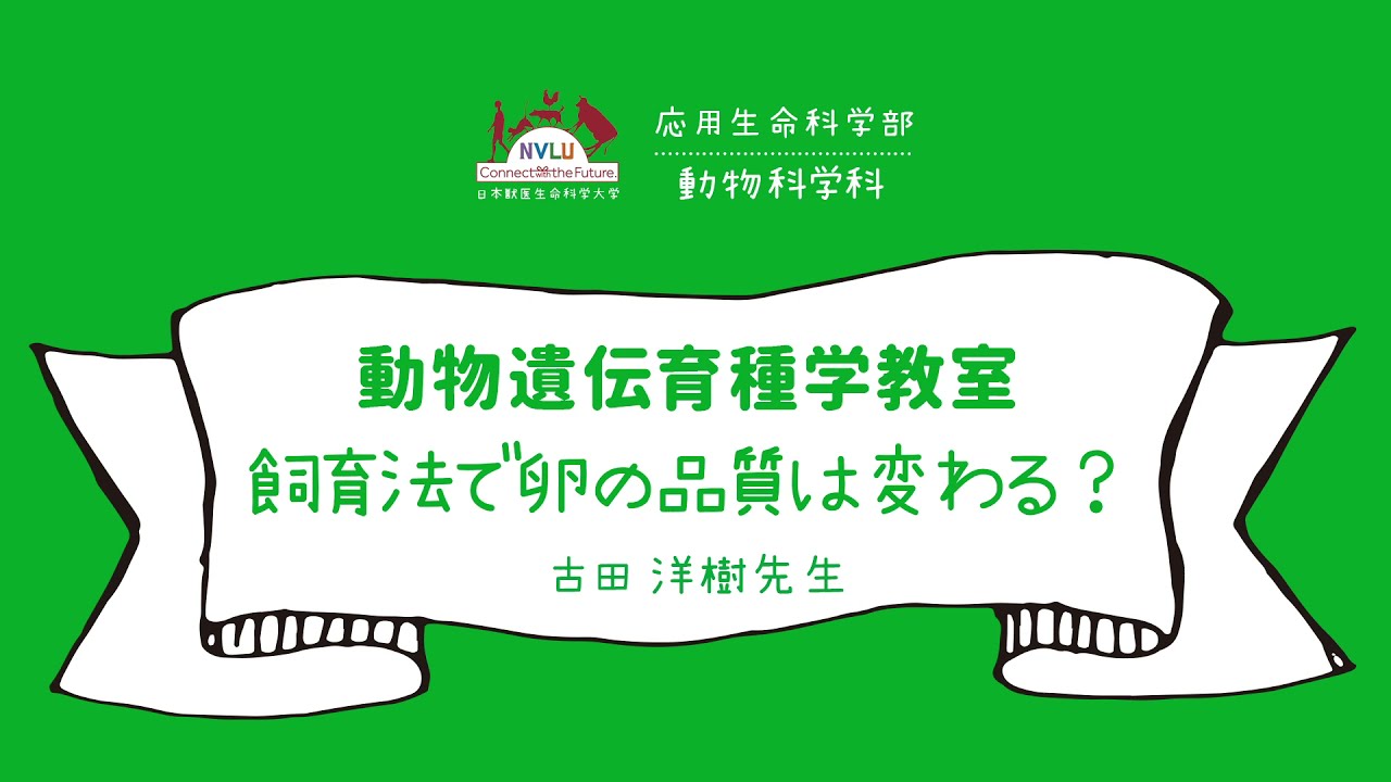 飼育法で卵の品質は変わる？【日本獣医生命科学大学 応用生命科学部 １分動画 動物遺伝育種学教室】