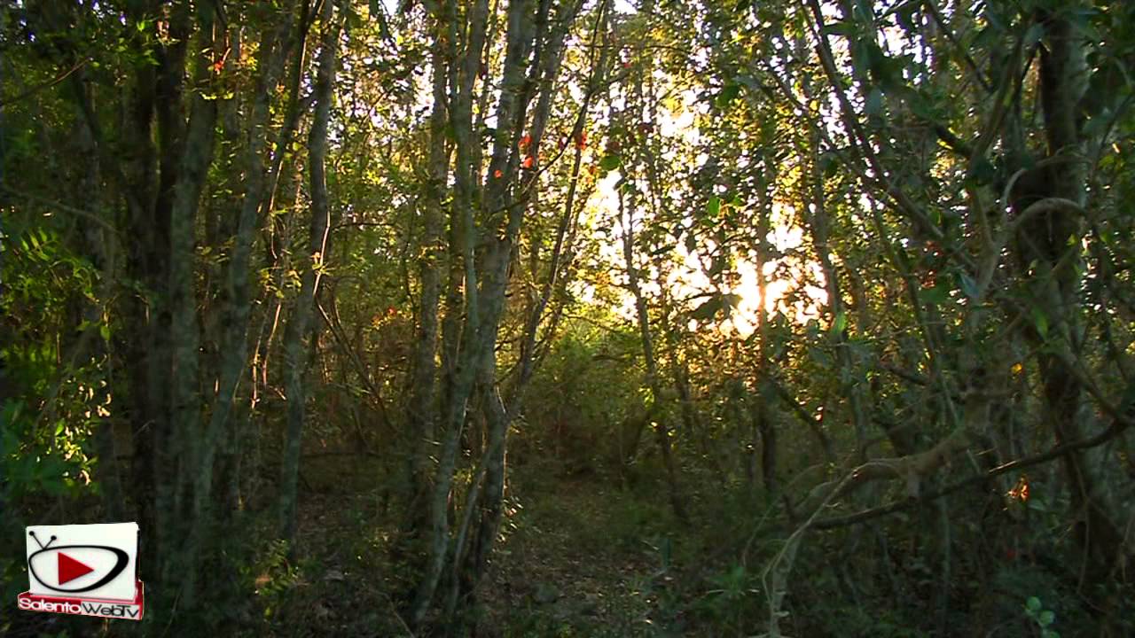 L'autunno nel Salento comincia nel Parco di Rauccio