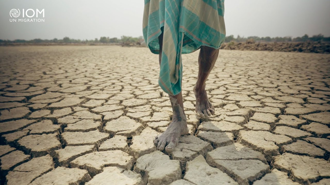 Salt in the Roots | The Impact of Salinity Intrusion in Coastal Bangladesh | #worldenvironmentday