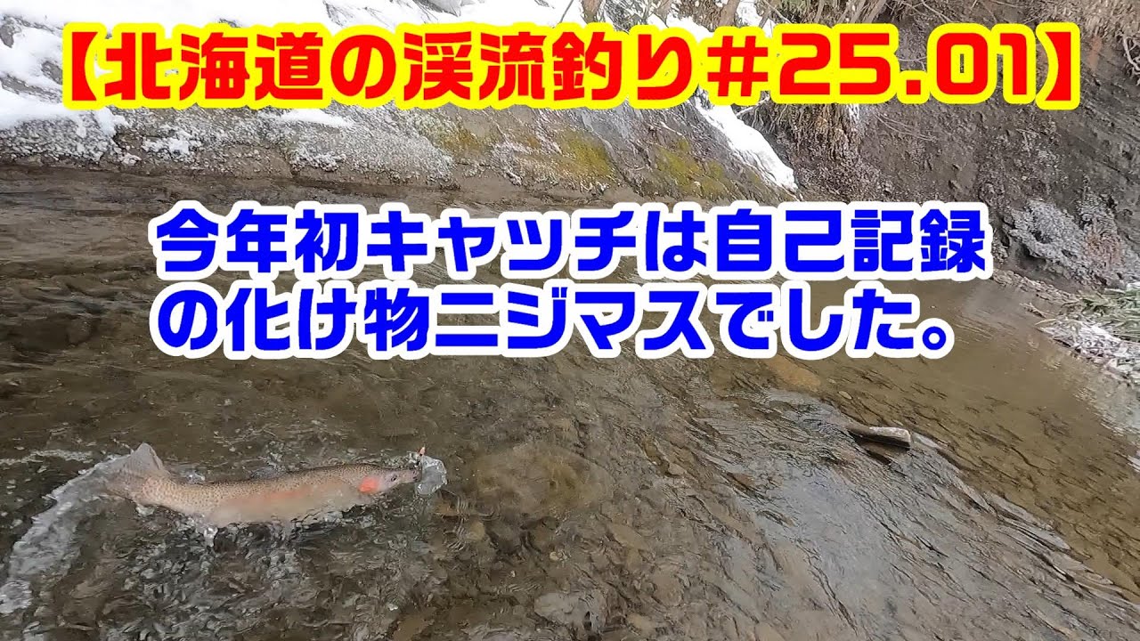 【北海道の渓流釣り＃25 01】《今年1発目は自己最高サイズのニジマス》渓流ルアー釣り　ベイトフィネス　道央河川　ニジマス