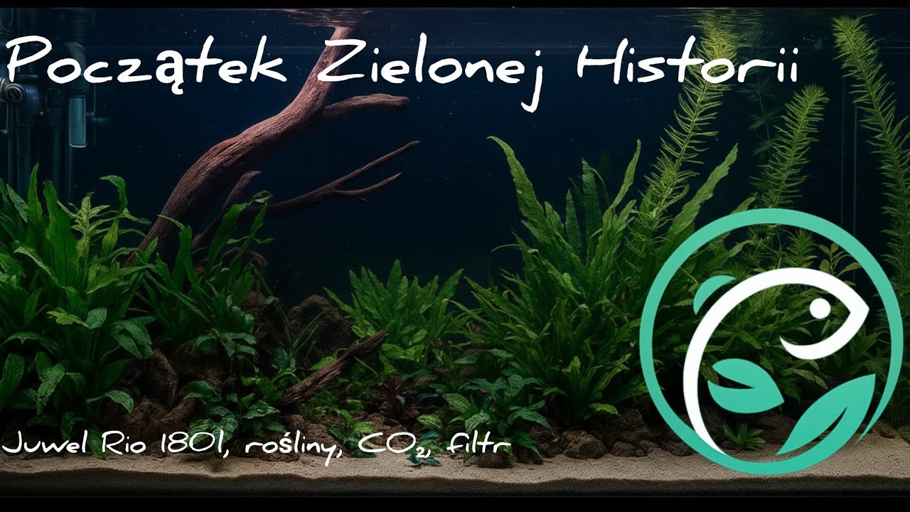 Moje akwarium 180 litr&oacute;w &ndash; początek zielonej historii
