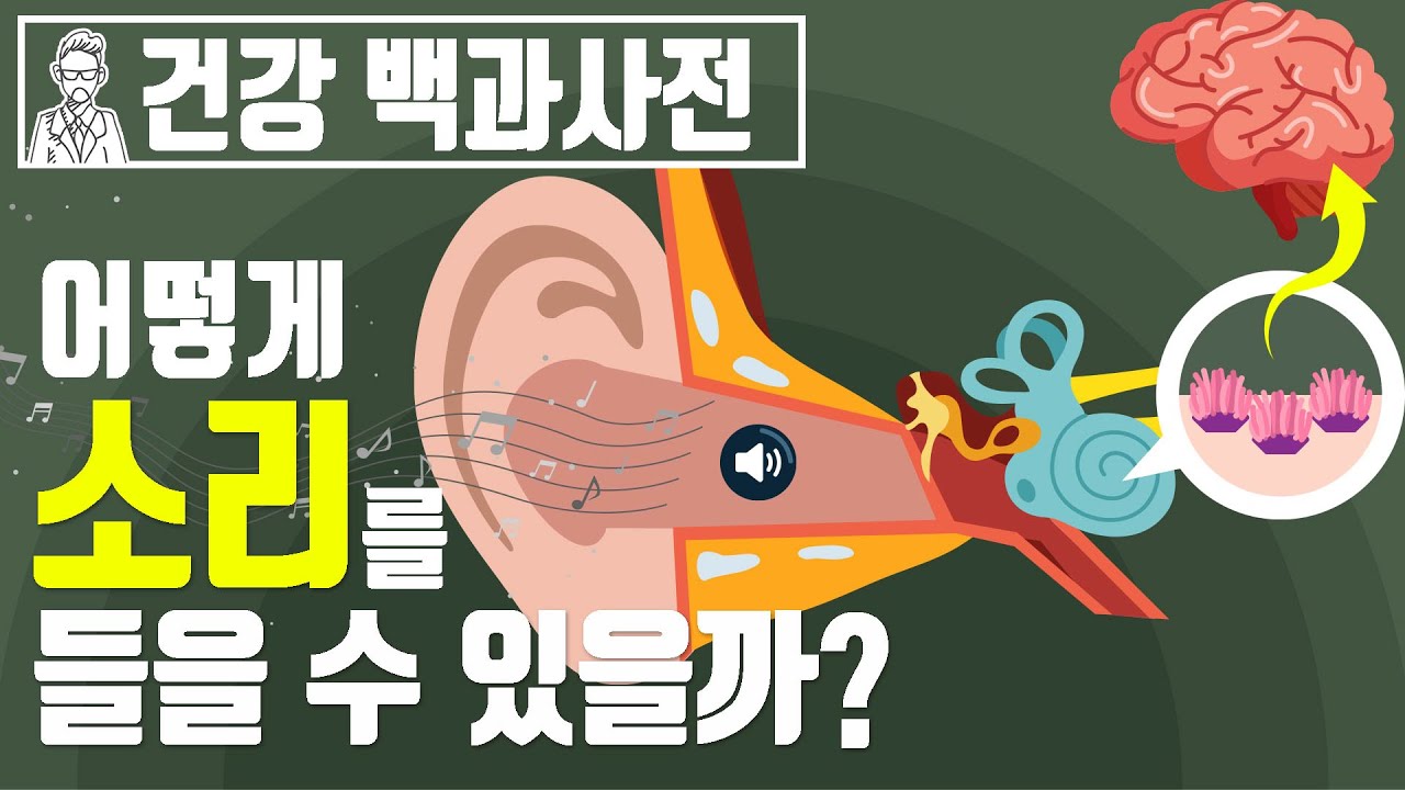 우리 몸은 어떻게 소리를 들을 수 있을까? 청각의 원리 @세모지