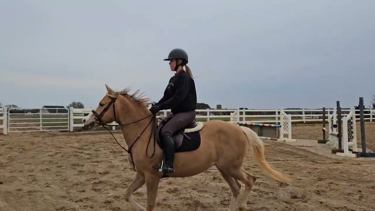 Lexie Lesson 3.2.26