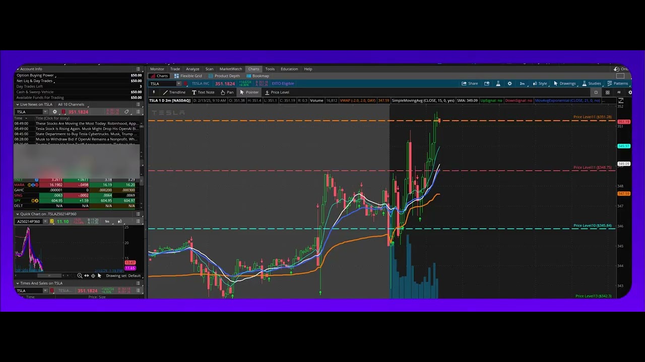 SCHWAB BROKER PLATFORM:: TSLA Trade Chart 2 13 2025 CALL Option $113