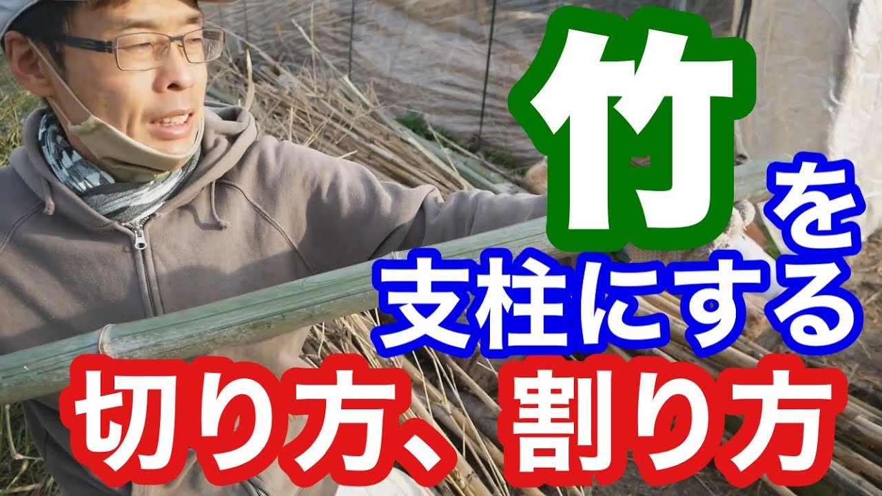 竹を支柱にする切り方と加工、道具の使い方【資材作り】2021年2月23日