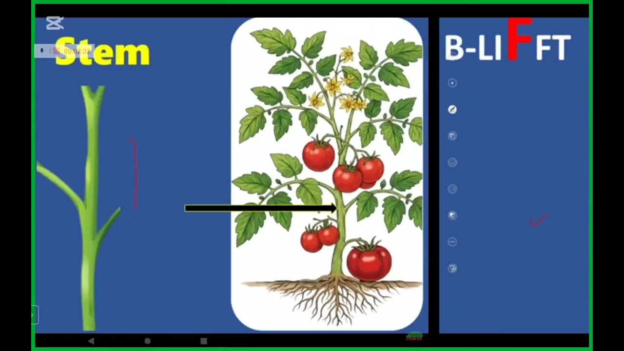 Edtech CLass 2 Science B Lifft 1