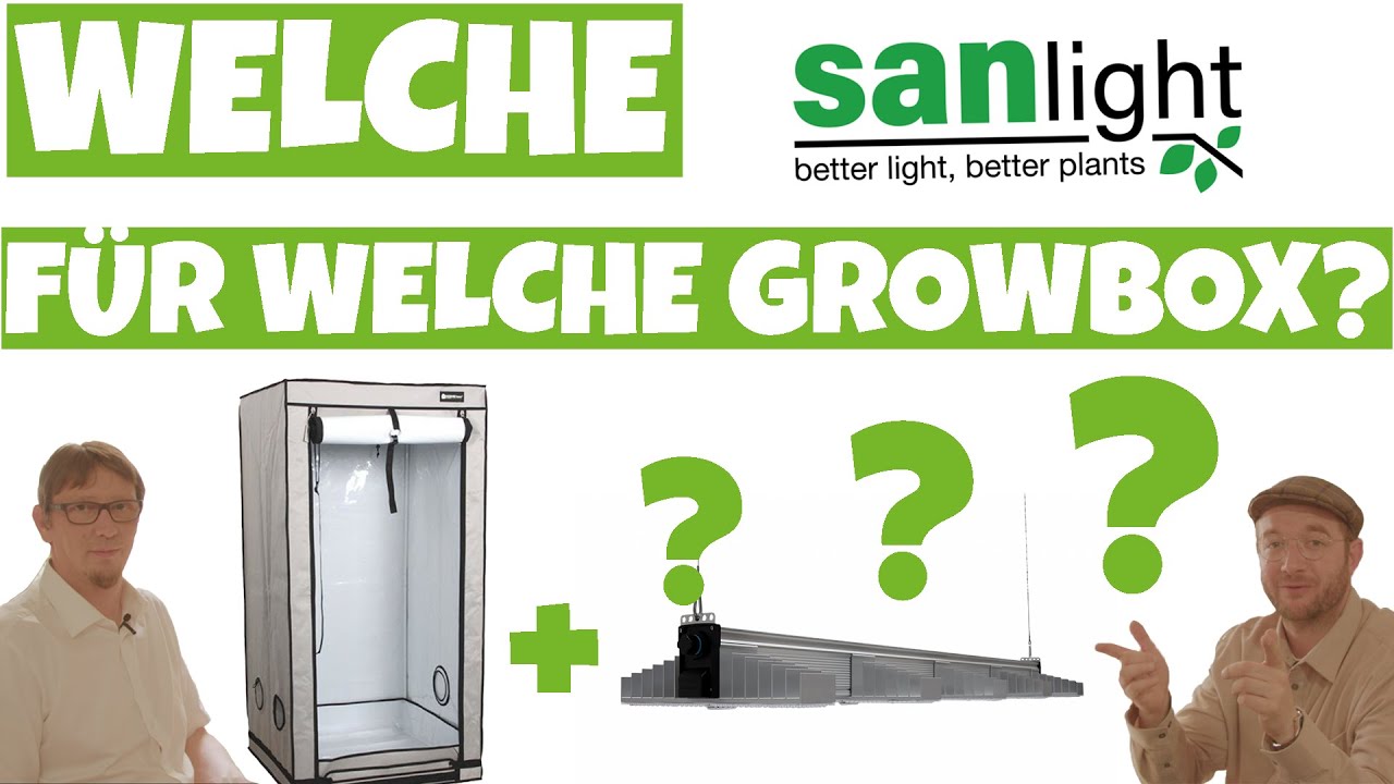 Welche SANlight LED zu Welcher Growbox ? | Anfänger und Expert Setup für deinen Homegrow 🌱
