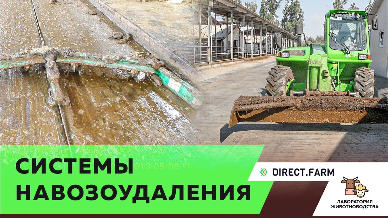 Технические средства для уборки навоза коров