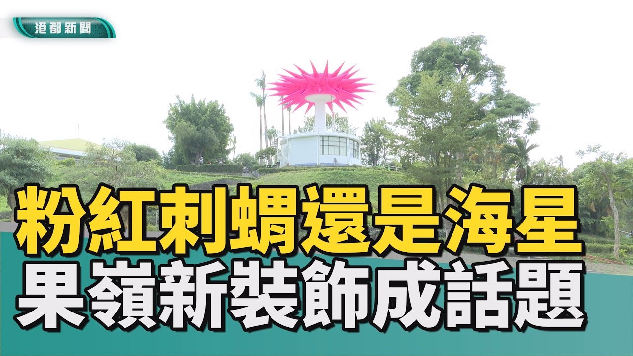 粉紅泡泡｜粉色刺蝟？粉色海星？ 果嶺新裝飾引起話題