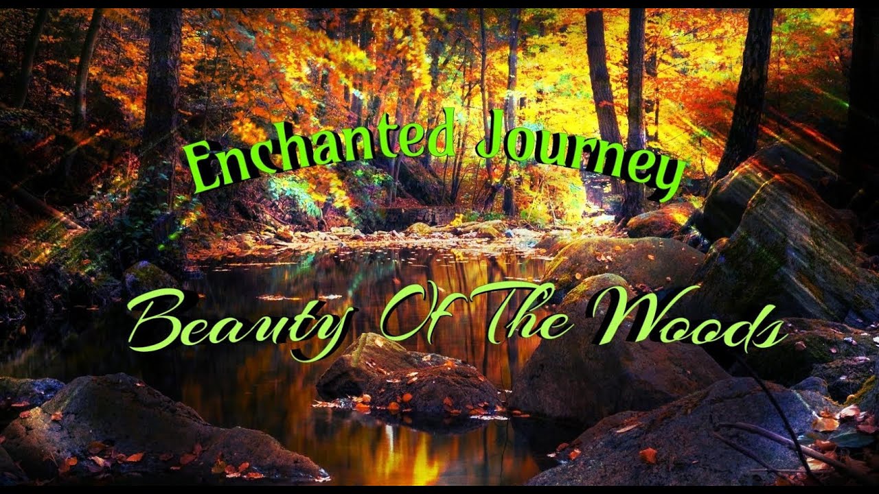 Beauty Of The Woods / Remix