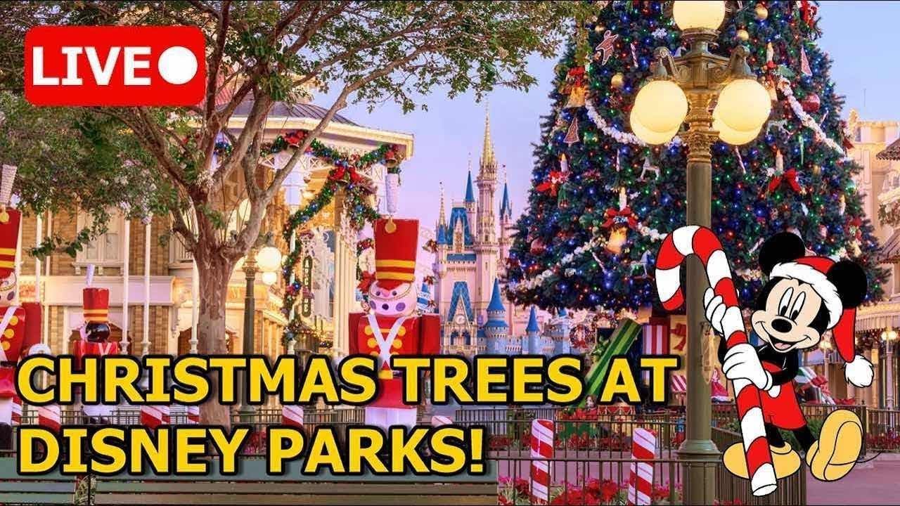 Magic Kingdom Stream! The Christmas Decor is Still Up! ✨🎄