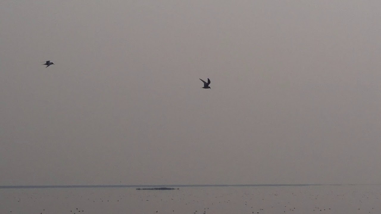 Tule Lake National Wildlife Refuge - California - August 31, 2017 - Travels With Phil - Unedited